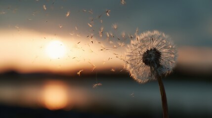Dandelion seeds blowing away at sunrise over a serene natural landscape