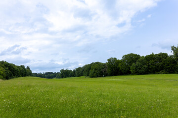 Lush green meadow, grass field with bushes and sky on background. Natural landscape, outdoor scene