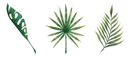 Fototapeta premium Watercolor tropical plants