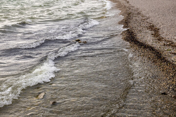 Small waves rolling over pebble shore, transparent water, warm colors. Tranquil summer nature...