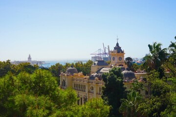 
Ayuntamiento de Málaga, the Parque de Málaga, to the cranes of the harbor and Palmeral de Las...