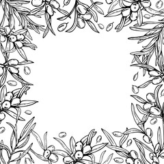 Square monochrome frame with sea buckthorn branches vector illustration, empty space for text. Etching drawing of healthy wild berries for cosmetic packaging, beauty product label, organic skincare