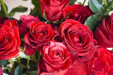 赤い薔薇
