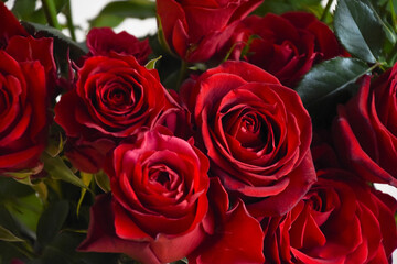赤い薔薇