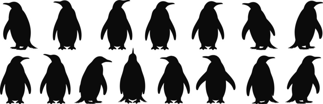  Adorable Penguin Silhouettes: Charming Black and White Designs, Perfect for Winter and Nature-Themed Projectsflat vector illustration
