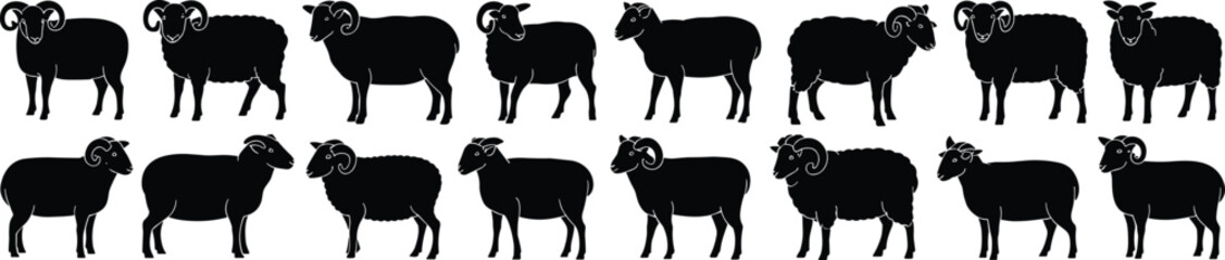 Collection of Diverse Sheep Silhouettes: Farm Animal Illustrations for Agriculture, Livestock, and Rural Life Designs, featuring various breeds flat vector illustration