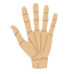 Cartoon skeleton hand with bones. Flat Halloween vector illustration on white background for spooky theme.