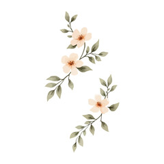 watercolor bouquet of pink flowers