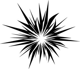 Fototapeta premium Black silhouette of an abstract firework burst against. Vector illustration 