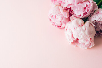 Pink peony flowers on pastel pink background with copy space. Top view, flat lay