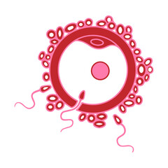 egg and sperm icon