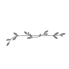 Obraz premium A simple page divider on transparent background featuring elegant vine and leaves design 
