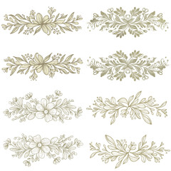 A set of eight floral page dividers featuring elegant botanical designs on transparent background
