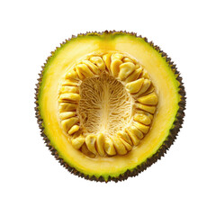 Half jackfruit cross section isolated on transparent background