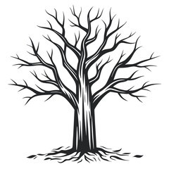 Fototapeta premium Detailed Vector Illustration of a Bare Tree Silhouette: Intricate Branching Patterns and Exposed Roots on a White Background for Natural Design Elements