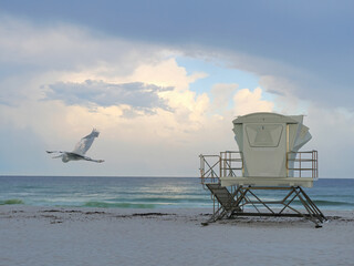 A Great Blue Heron Flies By the Vacant Lifeguard Station on a Florida Beach After the Rain