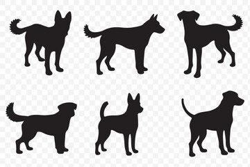 Dog Growth Stages Vector - Puppy to Adult Dog Silhouettes Set, Canine Life Cycle Illustration on Transparent Background. EPS 10.