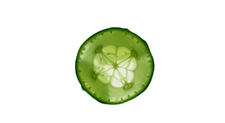 A translucent cross-section of a fresh green cucumber against a black background