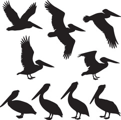 Obraz premium Pelican Standing on Pier SilhouetteFlying Pelican Over Water Vector DesignPelican with Open Beak Silhouette ArtCoastal Pelican Resting Scene VectorPelican in Flight Silhouette Illustration