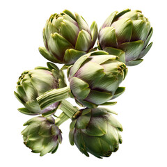 Obraz premium Stunning Artichoke Close-Up: A Vibrant Culinary Delight