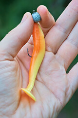 A man holds a silicone fishing lure in his hand. Fishing gear, sport fishing.