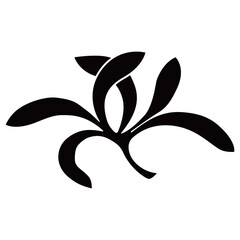 家紋です。蘭と言います。