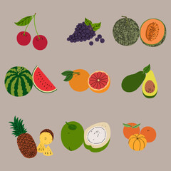 Flat Colorful Tropical Fruits Vector Set &ndash; Minimal Stroke Style &ndash; 2
