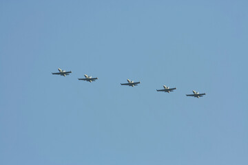   L-39 Albatros of Royal Thai Air force.