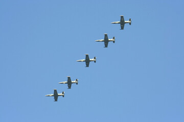   L-39 Albatros of Royal Thai Air force.