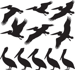 Obraz premium Pelican Standing on Pier SilhouetteFlying Pelican Over Water Vector DesignPelican with Open Beak Silhouette ArtCoastal Pelican Resting Scene VectorPelican in Flight Silhouette Illustration