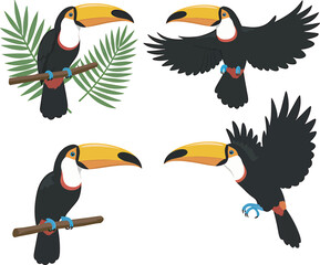 Obraz premium Colorful Toucan Bird Clip Art vector and Illustration white color background