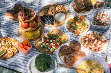 Summer Picnic Food Spread with fresh fruit, cheese platter, bread, and various appetizers arranged