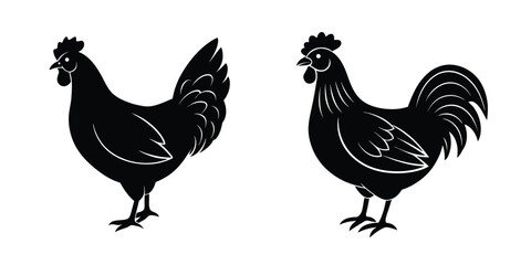 Silhouette of a Barnevelder Chicken on White Background