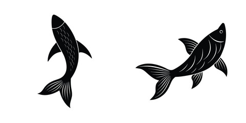 Detailed view of a salmon tail fin Silhouette on White Background