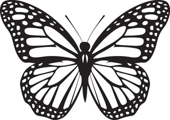 Butterfly vector illustration isolated on white background with orange and black wings flying in garden nature setting