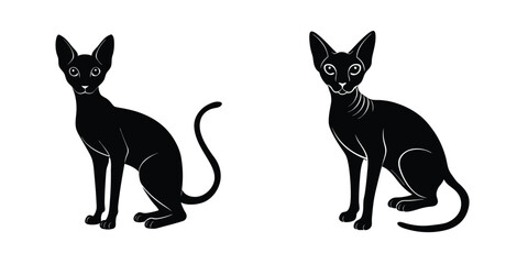 Detailed whisker view of a Cornish Rex cat Silhouette on White Background