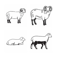 line art of goat and sheep bundle on the white background