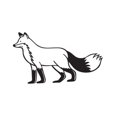 Obraz premium line art of fox on the white background