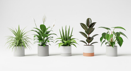 Fototapeta premium Collection of Indoor Plants in Bright Pots Arranged Neatly