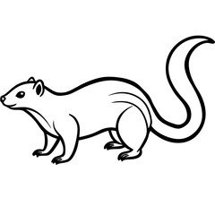 Fototapeta premium Alert Mongoose with Curved Tail – Fine Line Illustration