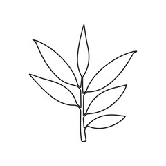 eucalyptus line icon