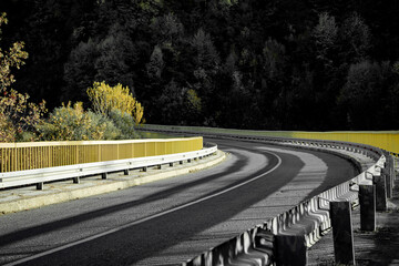 A Curve That Remembers Steps