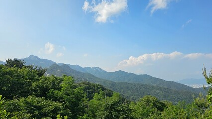 한국 서울 도심 산