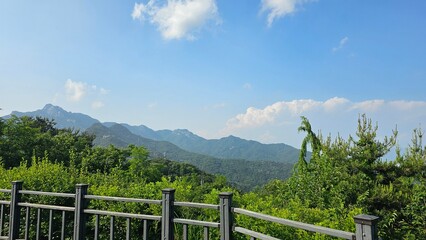 Fototapeta premium 한국 서울 도심 산