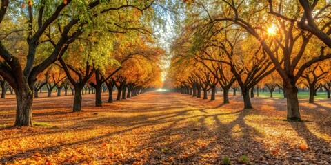Fototapeta premium Autumnal Pathway Golden Sunlight Illuminates a Canopy of Trees, Casting Long Shadows on a Carpet of Fallen Leaves