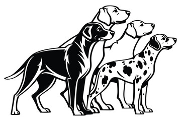 Elegant Black and White Dalmatian Dog Breed Trio Standing Together Illustrative Art