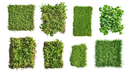 Green grass alphabet letters isolated on white background