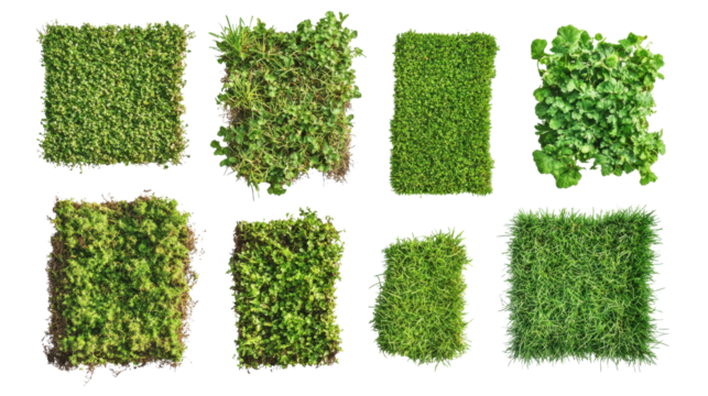 Green grass alphabet letters isolated on white background