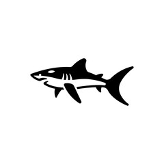white shark icon