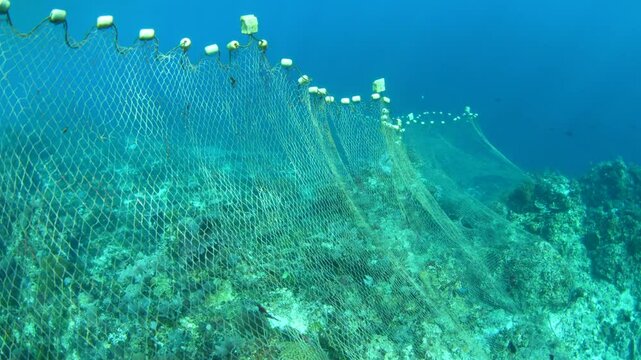 A long barrier net has been set up to catch fish on a coral reef near Alor, Indonesia. Many parts of Indonesia have been overfished due to the high population reliant upon marine resources.